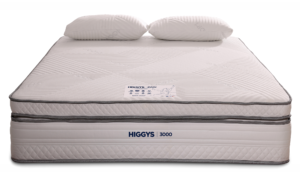 HIGGYS 3000 health mattress